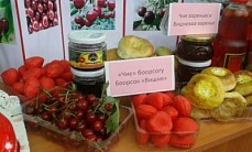 Ысык-Көл облусунда «Карагат фест» фестивалы болуп өттү