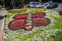 Цветочная феерия Бишкека
